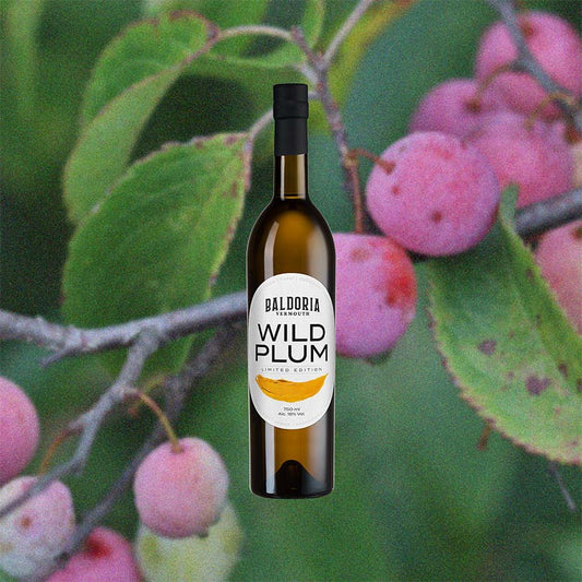 Bottle Image for Baldoria Wild Plum Vermouth (2/2)